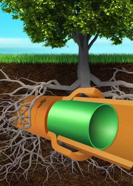 How does CIPP pipelining repair a sewer pipe?