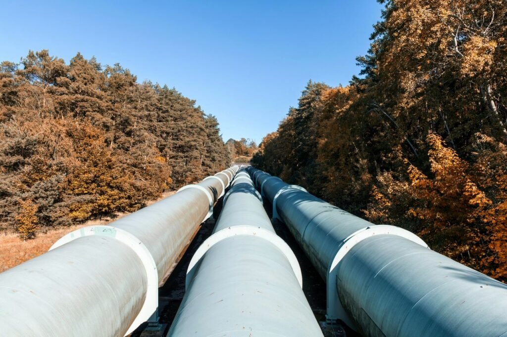 Crafting Captivating Headlines: Your awesome post title goes here Large pipelines meandering through a colorful autumn forest, showcasing sustainable energy transport.